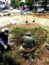 Embellecimiento de Cali en manos del Comité Interinstitucional