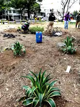 Embellecimiento de Cali en manos del Comité Interinstitucional