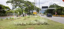 Alcaldía de Cali, rehabilitó 78 mil metros cuadrados del Corredor Verde de la carrera primera.