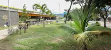 Alcaldía de Cali, rehabilitó 78 mil metros cuadrados del Corredor Verde de la carrera primera.