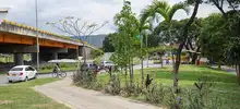 Alcaldía de Cali, rehabilitó 78 mil metros cuadrados del Corredor Verde de la carrera primera.