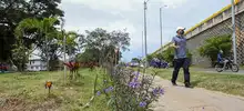 Alcaldía de Cali, rehabilitó 78 mil metros cuadrados del Corredor Verde de la carrera primera.