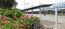 Alcaldía de Cali, rehabilitó 78 mil metros cuadrados del Corredor Verde de la carrera primera.