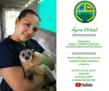 Ágora Virtual y la alianza con ANDE