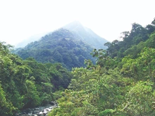 Organismos ambientales reconocen el Modelo de Pago por Servicios Ambientales de Cali