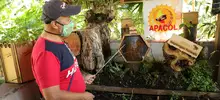 Educación ambiental para generar emprendimientos y recuperar el ambiente 
