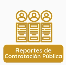 reportes de contratación pública