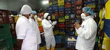 Pollos El Galpón debe mejorar protocolos de bioseguridad en su sede Cascajal
