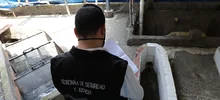 Pollos El Galpón debe mejorar protocolos de bioseguridad en su sede Cascajal