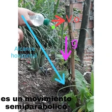 IE Luis Fernando Caicedo le apuesta a las ciencias naturales en aislamiento preventivo. 