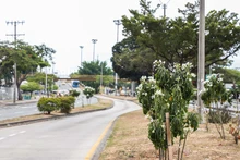Más de 400 mil metros cuadrados de zonas verdes han sido recuperadas
