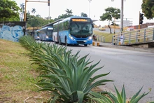 Más de 400 mil metros cuadrados de zonas verdes han sido recuperadas