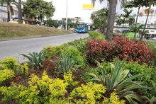 Más de 400 mil metros cuadrados de zonas verdes han sido recuperadas