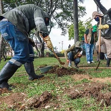 “DAGMA a la calle” llegará mañana a la comuna 13