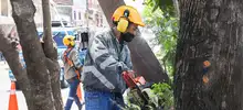‘DAGMA al Barrio’ llegó a la Comuna 13