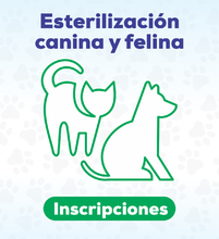salud ambiental
