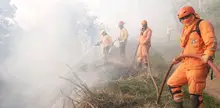 Sea un prevencionista y evite los incendios forestales