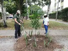 Dagma realiza renaturalización y embellecimiento de parque en el barrio Prados de Oriente