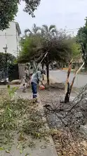 Dagma realiza renaturalización y embellecimiento de parque en el barrio Prados de Oriente