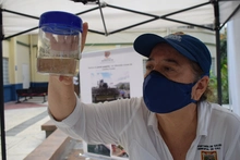 Casos de dengue disminuyeron en Cali, alerta amarilla continúa