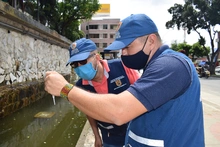 Casos de dengue disminuyeron en Cali, alerta amarilla continúa
