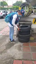En Cali las acciones contra el dengue se han intensificado  