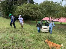 Dagma rescató y liberó a oso perezoso en zona rural 