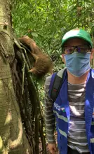 Dagma rescató y liberó a oso perezoso en zona rural 