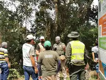 Dagma rescató y liberó a oso perezoso en zona rural 