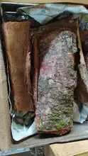 En operativos de control de flora silvestre, Dagma encuentra materiales en veda