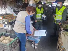 En operativos de control de flora silvestre, Dagma encuentra materiales en veda