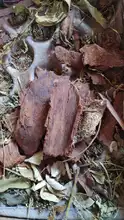 En operativos de control de flora silvestre, Dagma encuentra materiales en veda