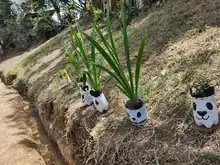 Inició en la comuna 6 el programa ‘Semillas de Educación Ambiental’