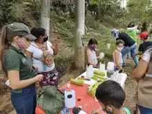 Inició en la comuna 6 el programa ‘Semillas de Educación Ambiental’