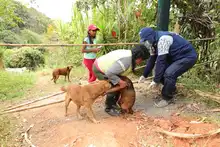Jornada de Salud en corregimiento Pichindé