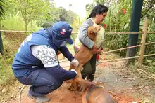 Jornada de Salud en corregimiento Pichindé