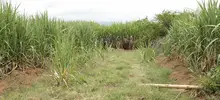 Ministro de Defensa y alcalde de Cali recorrieron zona de Llano Verde