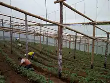 IEO La Leonera hace realidad un proyecto de innovación en seguridad alimentaria
