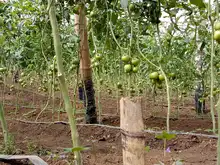IEO La Leonera hace realidad un proyecto de innovación en seguridad alimentaria