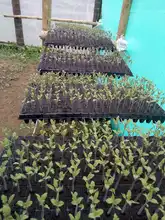 IEO La Leonera hace realidad un proyecto de innovación en seguridad alimentaria