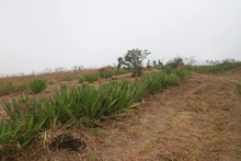 DAGMA al territorio llegó hasta el cerro de Los Cristales 