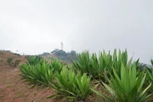 DAGMA al territorio llegó hasta el cerro de Los Cristales 