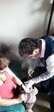 Centro de Zoonosis realizará jornadas de vacunación para caninos y felinos