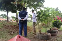 El oriente de Cali se viste de Verde Esperanza