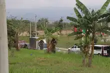 El oriente de Cali se viste de Verde Esperanza