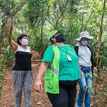 En Altos de Santa Elena se albergan más de 640 especies de aves