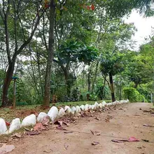 En Altos de Santa Elena se albergan más de 640 especies de aves