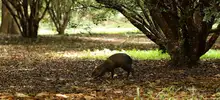 Ecoparque Lago de Las Garzas se renovó para el disfrute de la caleñidad