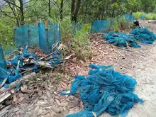 Dagma lidera jornadas de limpieza y descontaminación en Ecoparque Cerro de La Bandera 