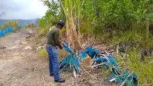 Dagma lidera jornadas de limpieza y descontaminación en Ecoparque Cerro de La Bandera 